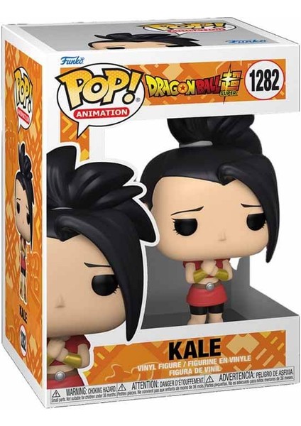Animation Dragonball: Kale