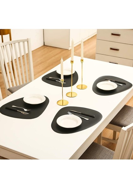 6'lı Kaymaz Bardak Altlığı Seti 38CM (Siyah) (Yurt Dışından) indirimleri