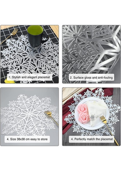 Kar Taneli 6'lı Bardak Altlığı Seti (Gümüş) (Yurt Dışından) indirimleri