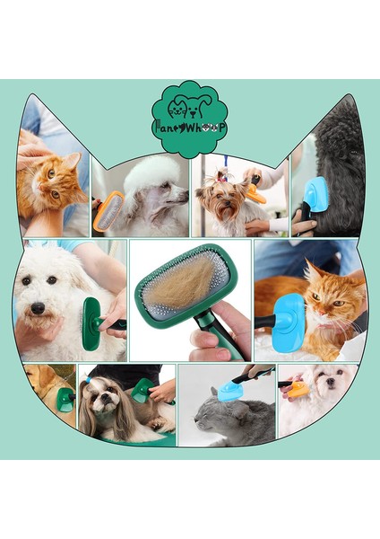 Pet Tarak Yeşil (Yurt Dışından) fırsatları