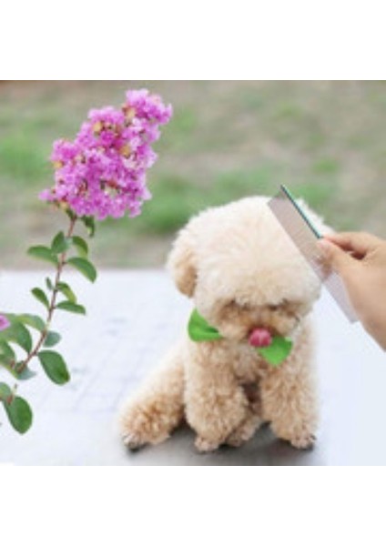 Paslanmaz Çelik Yuvarlak Dişli Pet Tarak (17* 2.9 cm (Yurt Dışından) modelleri