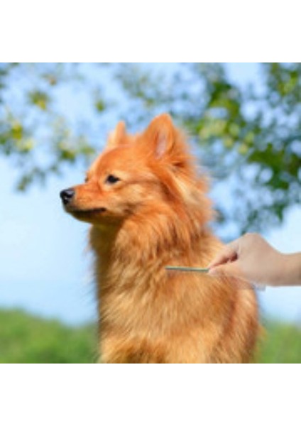 Paslanmaz Çelik Yuvarlak Dişli Pet Tarak (17* 2.9 cm (Yurt Dışından) fırsatları