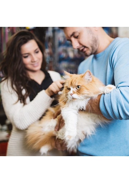 Evcil Hayvan Fırçası Uzun Saç Masaj Tarak Tırmık Pembe 16.8 * 7.3cm (Yurt Dışından) indirimleri