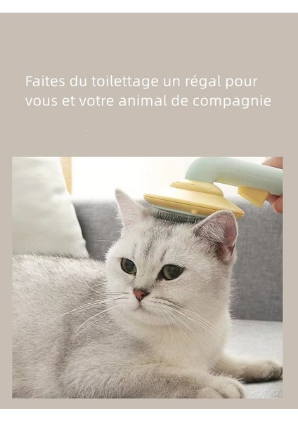 Evcil Hayvan Kendi Kendini Temizleyen Masaj Güzellik Fırçası Tarak Mor 195* 84* 66MM (Yurt Dışından) fiyatları