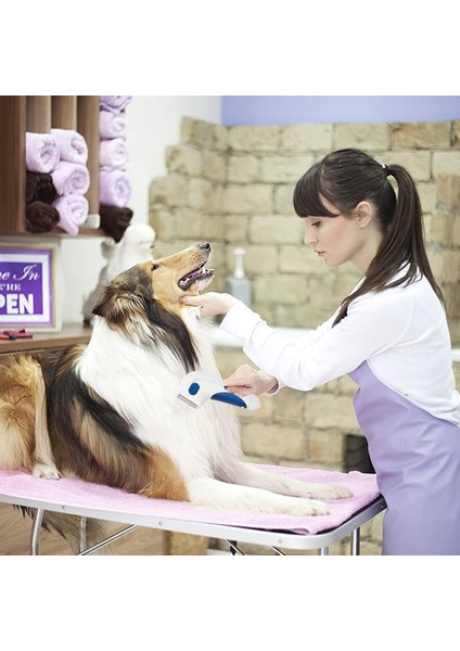 Pet Elektronik Pire Önleyici Pet Fırça 16.5* 8* 2 cm (Yurt Dışından) fırsatları