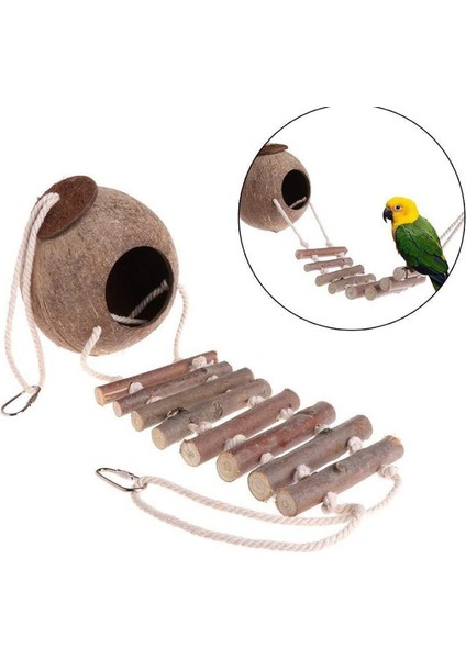 Hindistan Cevizi Kabuğu Ahşap Merdivenli Kuş Yuvası Oyuncak (Yurt Dışından) fiyatları