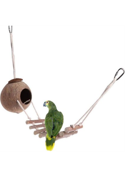 Hindistan Cevizi Kabuğu Ahşap Merdivenli Kuş Yuvası Oyuncak (Yurt Dışından) modelleri