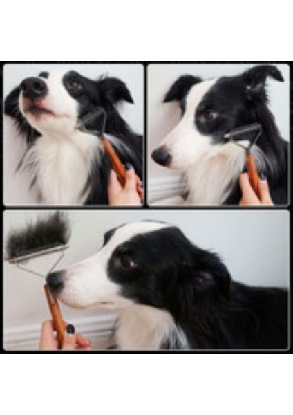 Hayvan Saç Fırçası (20* 8* 2.6cm) (Yurt Dışından) modelleri