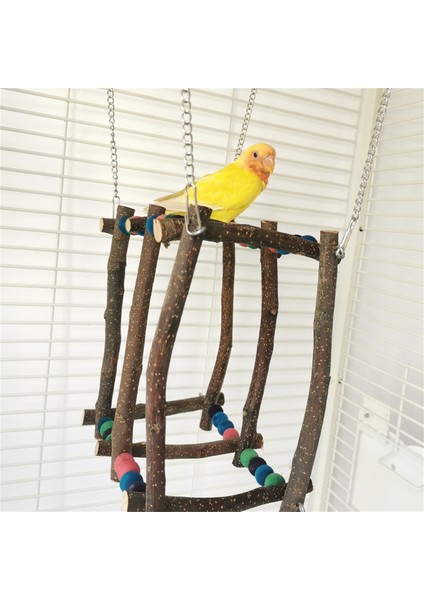 Ahşap Papağan Renkli Boncuklar (Yurt Dışından) fiyatları