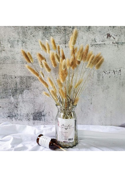 Lot Of 100 Doğal Kurutulmuş Oval Pampas Çiçeği (Yurt Dışından) fiyatları