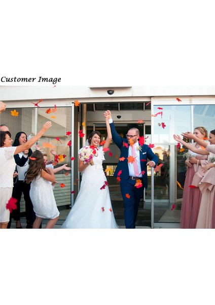 200 Adet Çok Renkli Yapay Akçaağaç Yaprağı Bitki Dekorasyonu (Yurt Dışından) modelleri