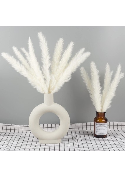 15X Kurutulmuş Pampas Otu Kurutulmuş Çiçek Buketleri, Beyaz (Yurt Dışından)