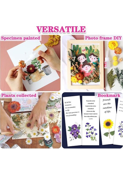 Doğal Kurutulmuş Çiçek Seti (Beyaz/mor) (Yurt Dışından) modelleri