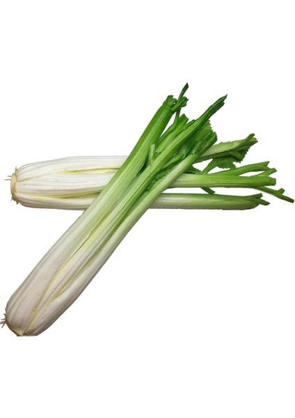 2 Adet, Kereviz, Yapay Sebzeler, Dekorasyon Için Yeşil Yapay Sebzeler, Ev Dekorasyonu Market Teşhir Mutfak Dekorasyonu Kereviz Çubuğu (Yurt Dışından)