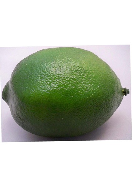 Parti Düğün Için Masterr 4 Büyük En Iyi Yapay Limes Dekoratif Meyve Simülasyon Meyve Ev Dekorasyonu (Yurt Dışından) indirimleri