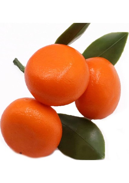5 Adet Yapay Portakal Simülasyon Meyve Seti Dekorasyon Için Plastik Gerçekçi Meyve Turuncu (Yurt Dışından) fırsatları
