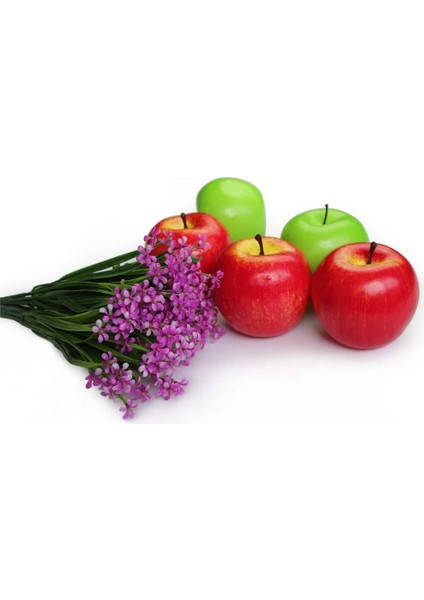 10 Adet Yapay Yapay Frutis Elmaları, Ev Dekorasyonu Için Simülasyon Elmaları (5 Adet Kırmızı + 5 Adet Yeşil) (Yurt Dışından) fırsatları
