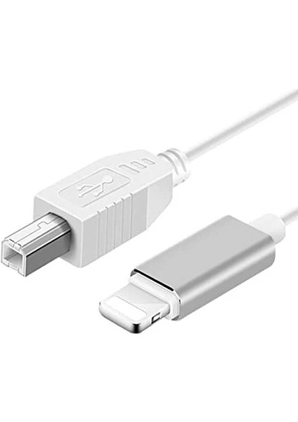 ADS-501 3ın1 USB To Micro-Lightning-Type-C  Mıdı Org Elektrikli Piyano Konnektörü Çevirici Otg Kablo