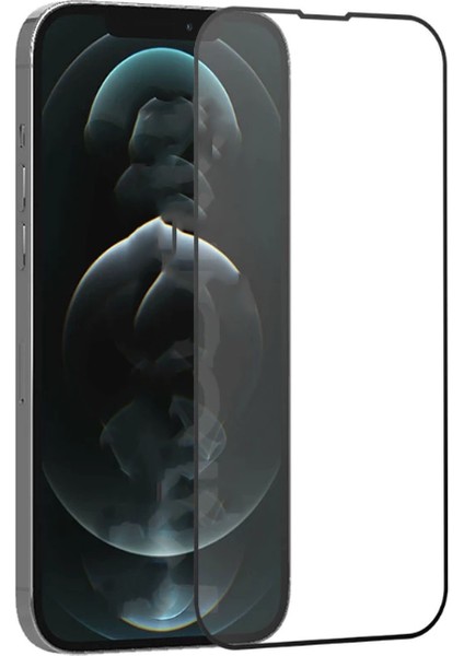Apple Apple iPhone 12 Pro Max Ekran Koruyucu Tam Kaplayan Parmak Izi Dirençli (Rio)