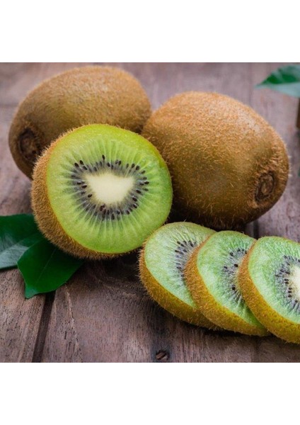 10 Adet Hayward Kivi Fidanı Paketi