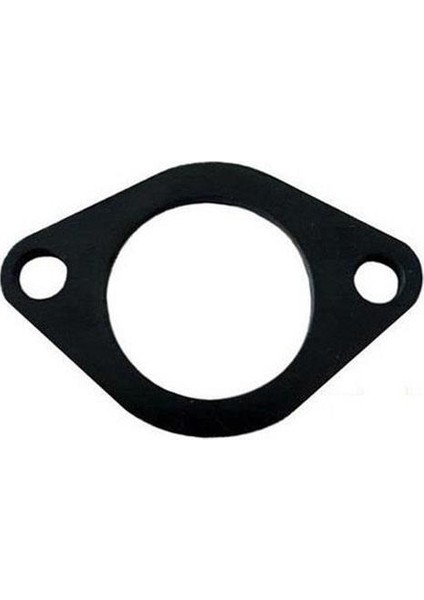 Manifold Fiberi Cub 100