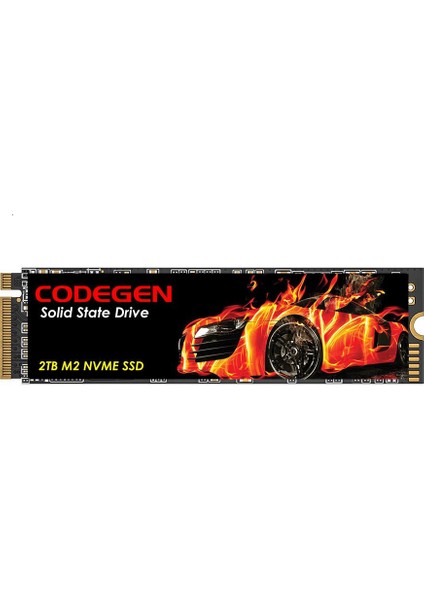 Codegen 2tb Cdg-2tb-Nvme 3600- 3000MB/S M2 Pcıe Nvme Gen3 Disk
