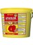 Asta Color Flakes Kovadan Bölme 500 gr 1