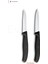 Evrekala Shop Bıçak Seti Black Knife Set 2'li Düz ve Tırtıklı Bıçak Victorinox 1