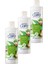 Care Aloe Vera ve Makademya Fındığı Yağı Şampuan ve Saç Bakım Kremi 700 ml Üçlü Set 1