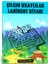 Çılgın Uzaylılar Labirent Kitabı 1
