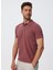Polo Yaka Kırmızı Erkek T-Shirt 232 Lcm 242009 Shark Kırmızı 3