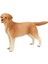 Doğum Günü Hediye Partisi Oyuncak Kek Topper Çocuk Labrador Sarı Için Gerçekçi Köpek Heykel Heykeli (Yurt Dışından) 1