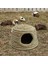 Tavşan Cottage Saman Barınağı Sincaplar Için Sabit Hideaway Kulübe Küçük (Yurt Dışından) 4