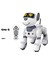 Çocuklar Için Sevimli Akıllı Robot Köpek Oyuncakları Kızlar Doğum Günü Hediyesi Mavi (Yurt Dışından) 1