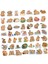 50X Karikatür Capybara Sticker Anime Dekoru Kart Adresi Için Küçük (Yurt Dışından) 2