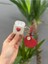 Airpods 1 ve 2. Nesil Uyumlu Kılıf Figürlü Silikon Karışık 1