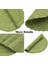 6'lı Dantel Bardak Altlığı Seti 38CM Yeşil (Yurt Dışından) 5