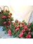2 Paket 7,2 Fit Yapay Çelenk Asma Sarmaşığı (Pembe) (Yurt Dışından) 2