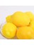 6 Adet Yapay Limon Yapay Meyve Plastik Gıda Dekorasyon Festivali Ekranı (Sarı Limon) (Yurt Dışından) 1