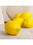 6 Adet Yapay Limon Yapay Meyve Plastik Gıda Dekorasyon Festivali Ekranı (Sarı Limon) (Yurt Dışından) 4