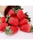 12 Adet Yapay Çilek Yapay Meyve Modeli Büyük Kırmızı Çilek Parti Süs Dekorasyon (Yurt Dışından) 2
