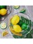 40 Paket Yapay Limon (Yurt Dışından) 2