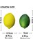 12 Adet Yapay Limon ve Misket Limonu, Simülasyon Limon (Yeşil+Sarı) (Yurt Dışından) 2
