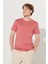 Erkek Kiremit Slim Fit Dar Kesim %100 Pamuk Bisiklet Yaka Tişört 1