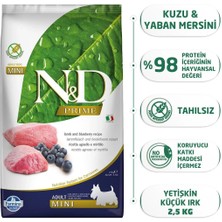 E - Petmama N&d Kuzu Etli Yaban Mersini Tahılsız Yetişkin Mini Irk 2.5 kg Köpek Maması