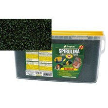 Tropical Spırulina Super Forte Granül Kova Yem 3 kg / 5 Lt