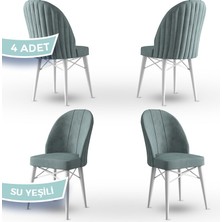 Jena Serisi 4 Adet Mutfak Sandalyesi 1.sınıf Babyface Ithal Kumaş Beyaz Gürgen Ayak