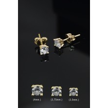 Papatya Silver 925 Ayar Gümüş Altın Kaplama Zirkon Taşlı Tektaş Küpe 3,5mm.