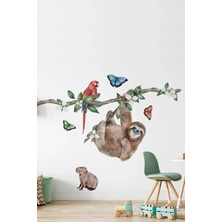 Kt Grup Amazon Safari Günlüğü Tembel Hayvan ve Arkadaşları Duvar Sticker Seti