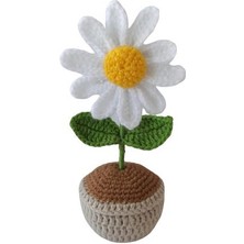 Oyuncak Park Saksıda Papatya Amigurumi Organik Oyuncak